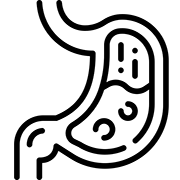 stomach